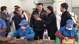 川茶集團(tuán)產(chǎn)品與資訊全解析 價格、評測、新聞及合作渠道